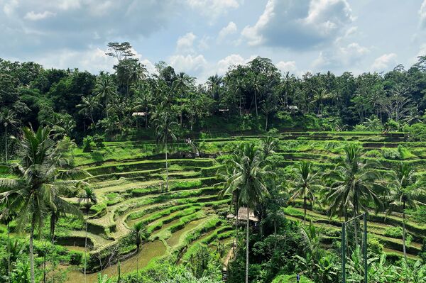 Bali